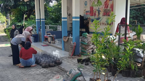 Warga RW14 galakan penanaman TOGA